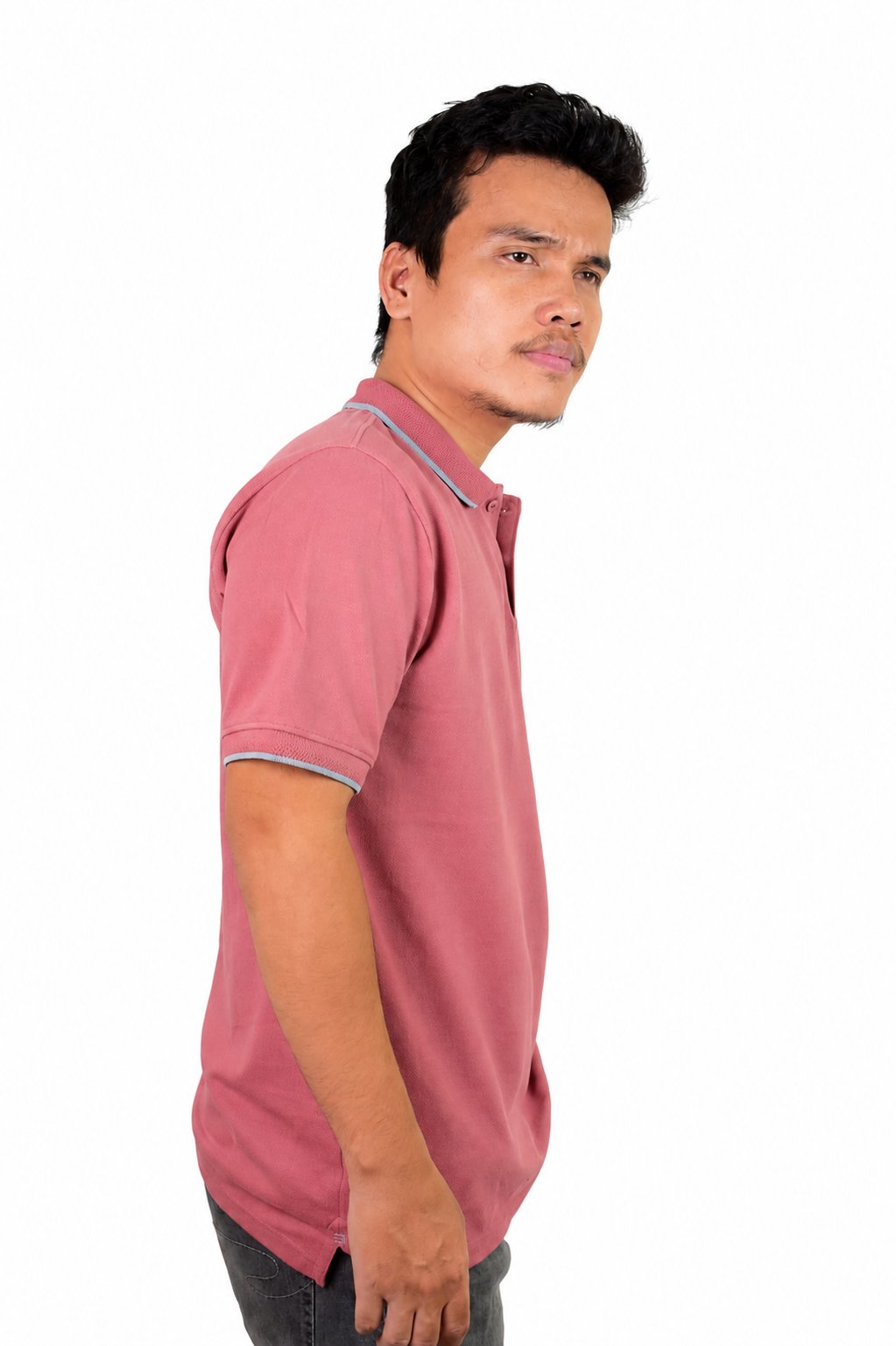 ShubVibes Essential Polo T-Shirt — Mauve